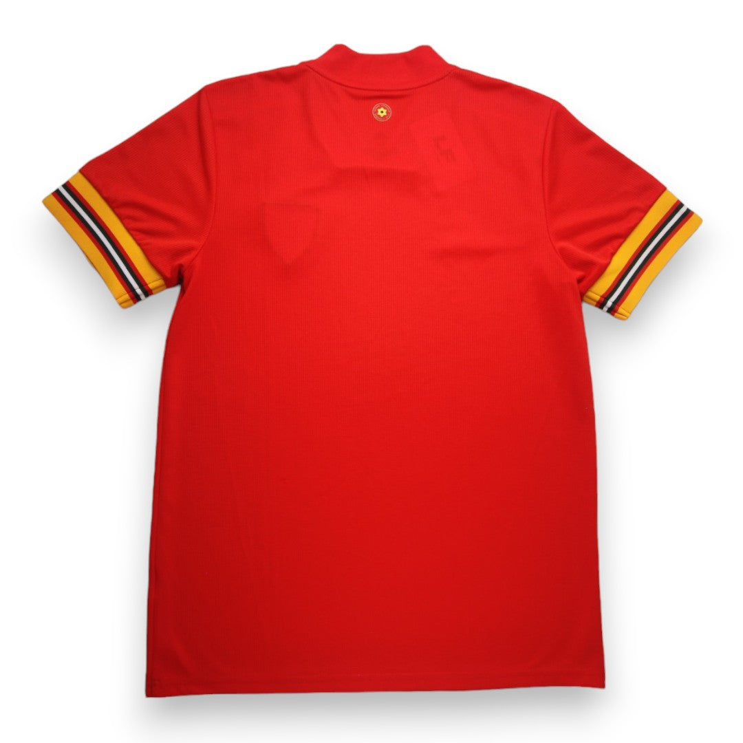 Pays de Galles 2020/21 Home - M